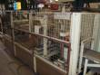 Termoformadora filling and sealing machine