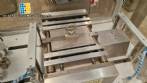 Sarong SAAS model blister forming and sealing machine for suppositories.