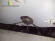 Mixer of pasta