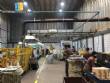 Steel wool production line