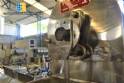Tortugan Pasty Liquid Vertical Dosing Filler