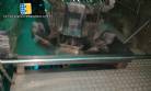 Automatic full line for packing olives mushrooms