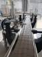 Bottling line for grains and chestnuts