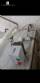 Pasteurization and homogenization line