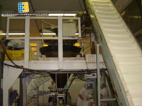 Multihead packer Masipack