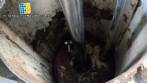 Drum transfer pump