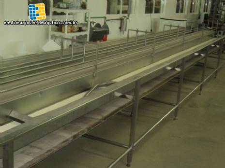 Conveyor belt