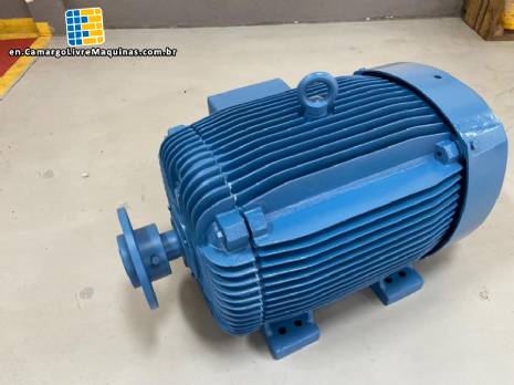 Conventional electric motor WEG