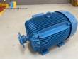 Conventional electric motor WEG