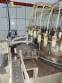 Rotary filling machine with 48 nozzles