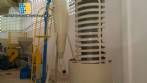 Granuladeira extruder Miotto