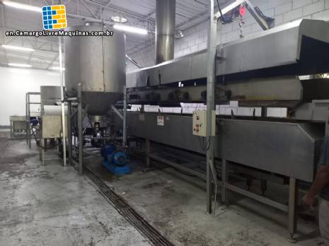 Line for the manufacture of potato chips and MCI chips