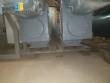 Nemo Netzsch helical positive pumps