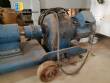 Worm pump Netzsch
