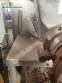 Industrial extruders for meat Weiler