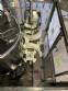 Vinox Zegla rotary filling machine for 1 to 5-liter jerrycans and jugs (retrofitted)