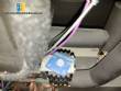 Shaker agitation Thermo Scientific